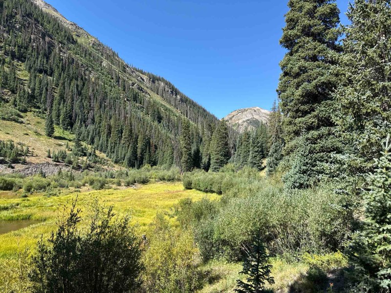 Cinnamon Pass Trail Review Photo