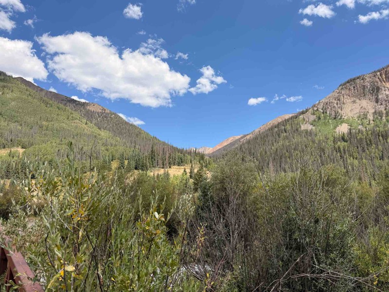Cinnamon Pass Trail Review Photo