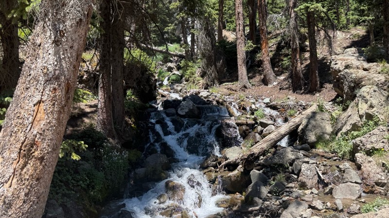 Cinnamon Pass Trail Review Photo