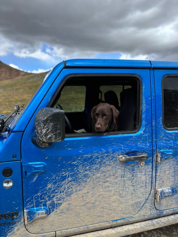 Cinnamon Pass Trail Review Photo