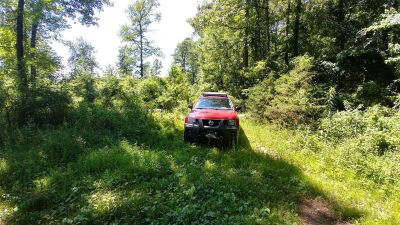 Arkansas: Black Berry Loop Hero Photo
