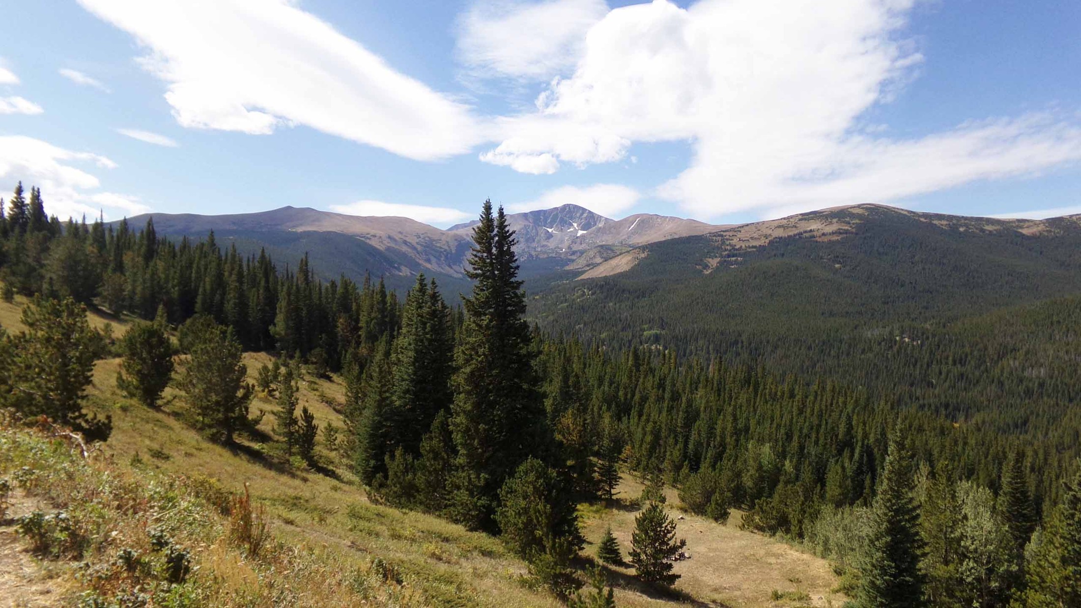 Baltimore Ridge, Colorado Offroad Trail Guide & Map