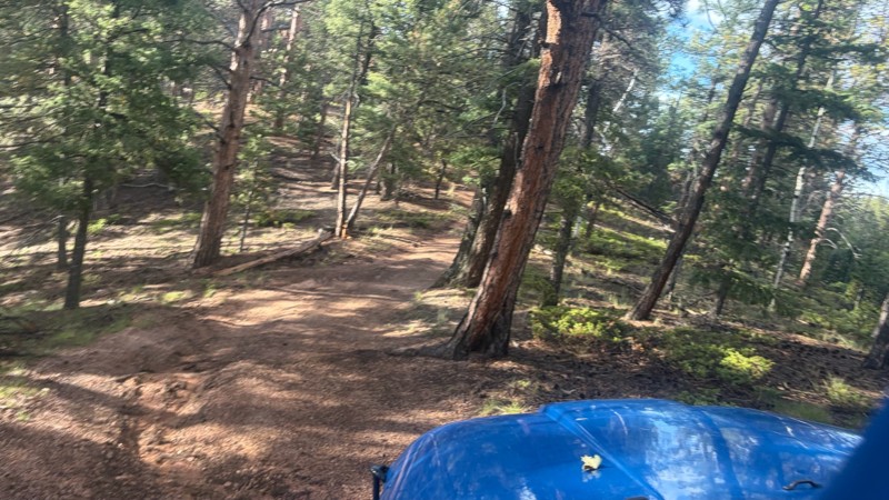 Soldier Mountain Trail Review Photo