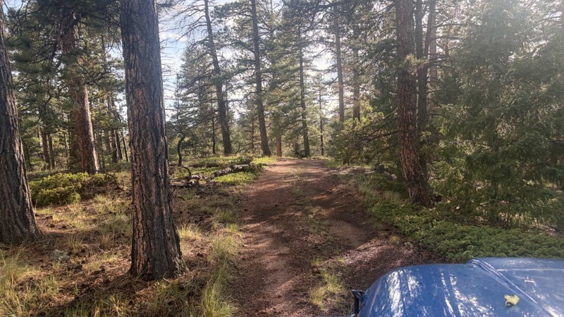 Soldier Mountain Trail Review Photo