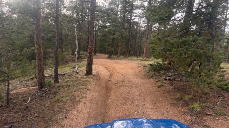 Rupp Gulch Road Trail Review Photo