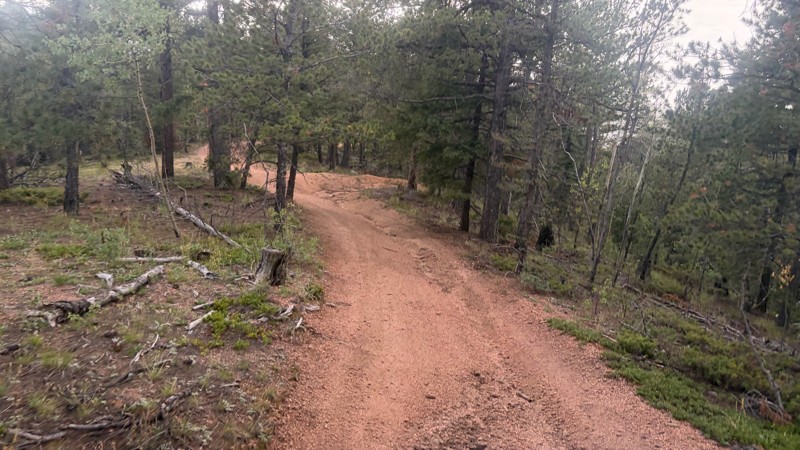 Rupp Gulch Road Trail Review Photo