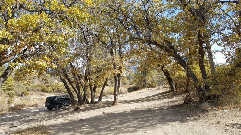 California: 2N75 - Ash Meadows Hero Photo