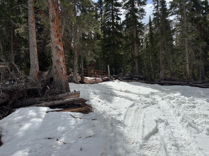 Clohesy Lake Trail Review Photo