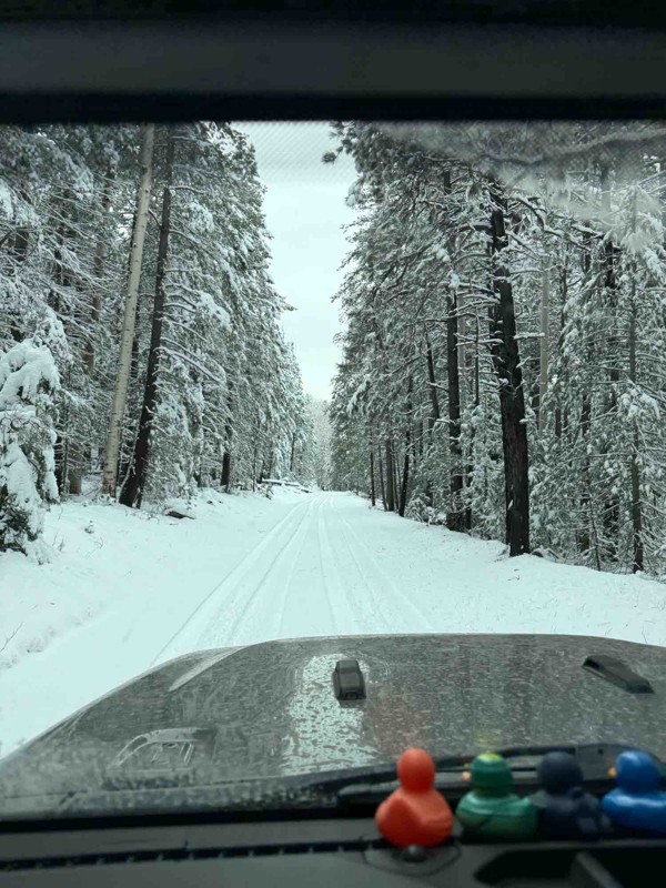 Hart Prairie Trail Review Photo