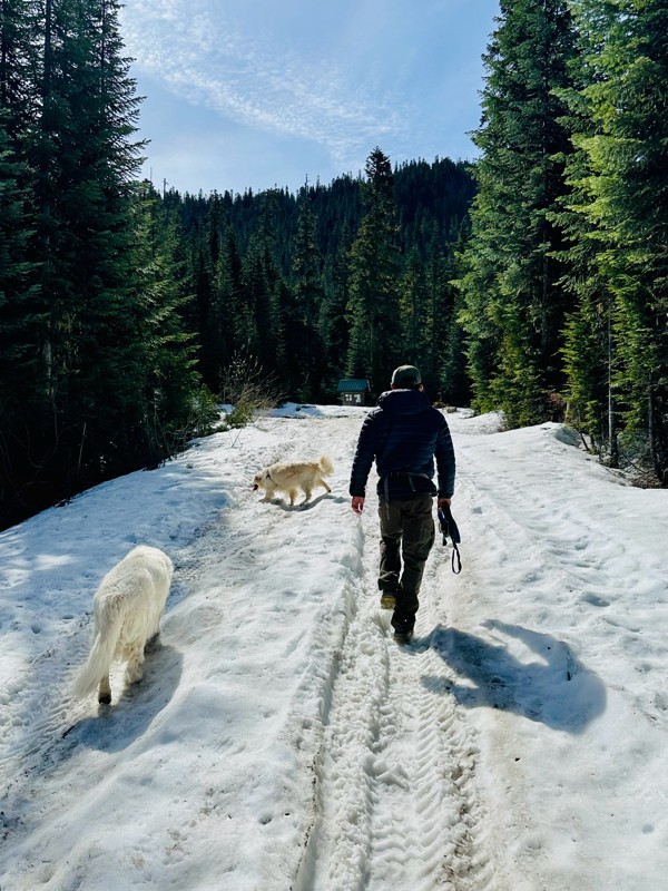 FS-75 to Lonesome Lake Trail Review Photo