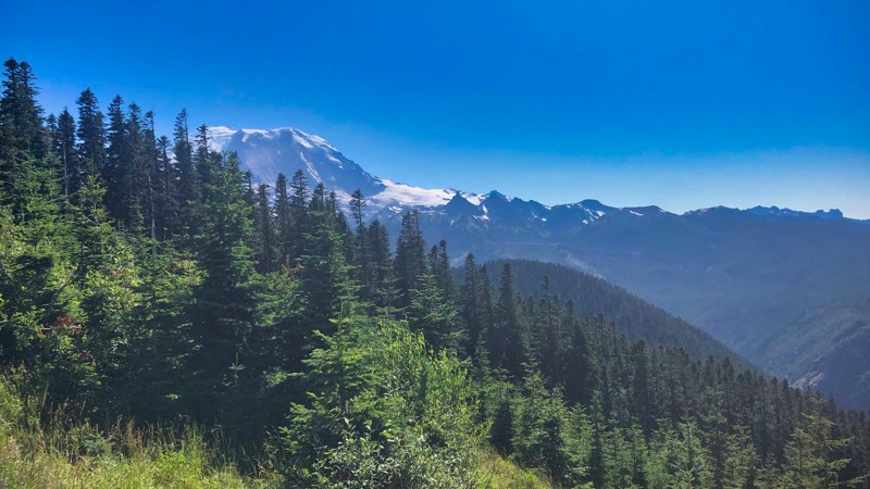 Washington: NF-410 to Mount Rainer Viewpoint Hero Photo