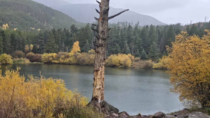 Lake Creek AKA Cloverdale Mine Trail Review Photo