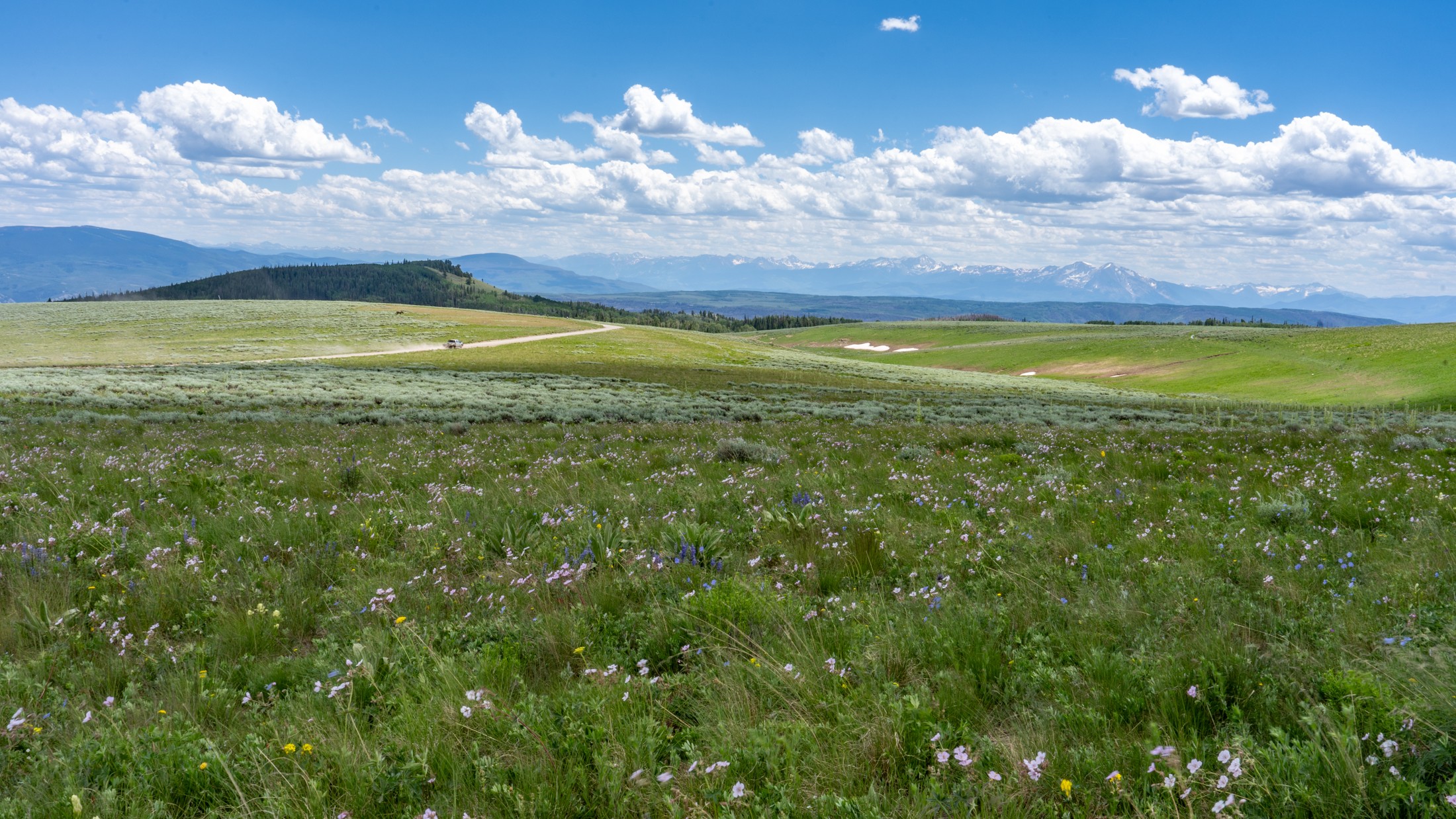 Coffee Pot Road, Colorado Offroad Trail Guide & Map