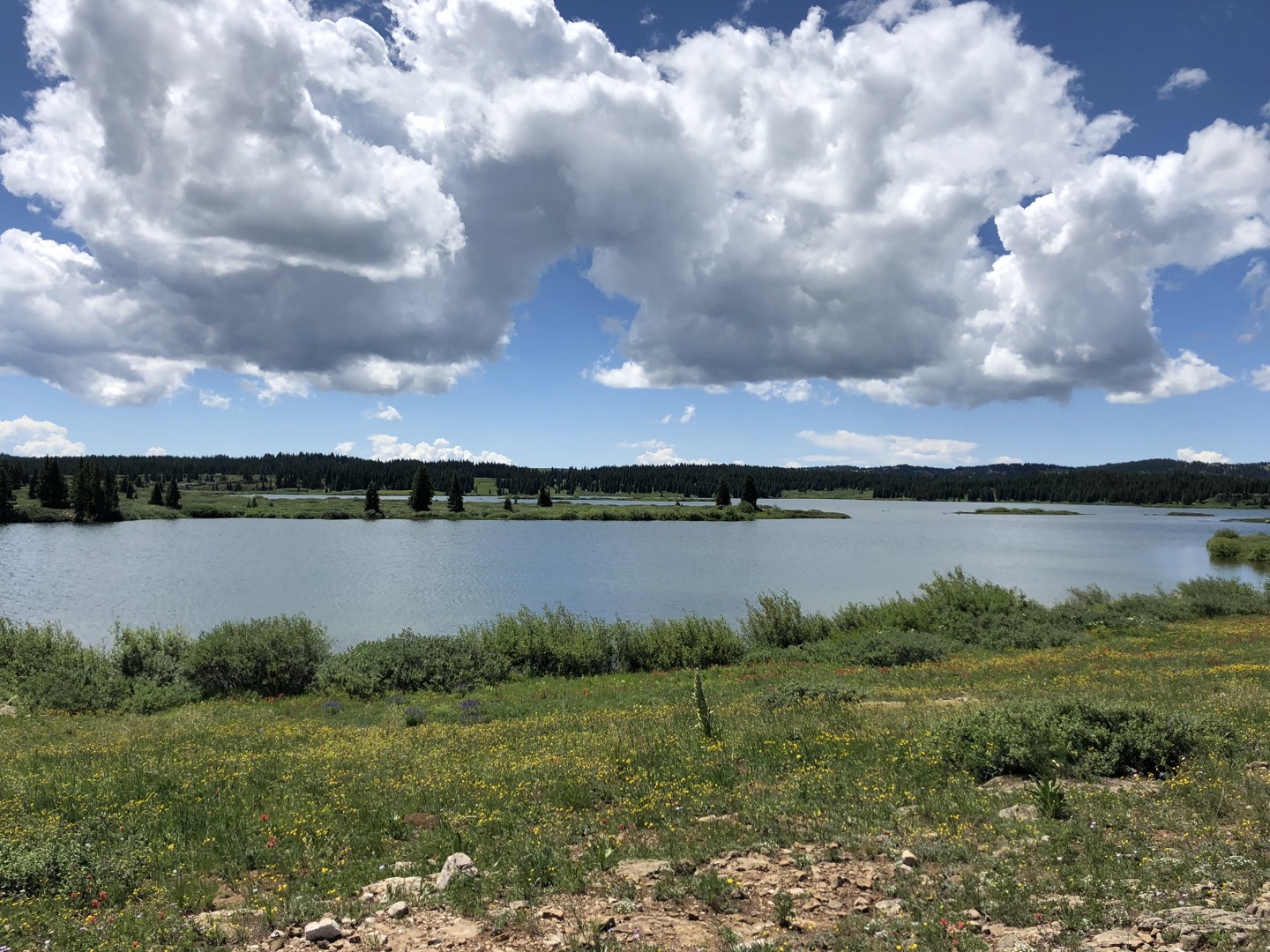 Coffee Pot Road Colorado Offroad Trail