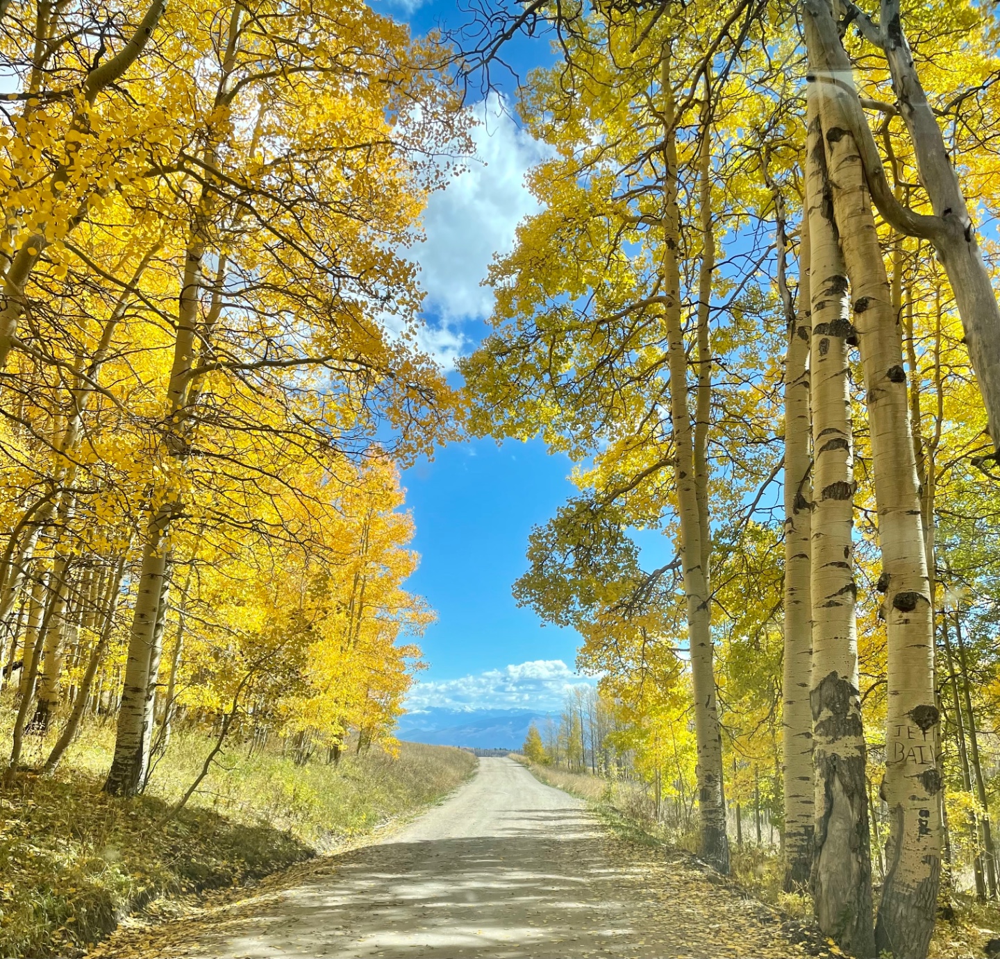 Coffee Pot Road Colorado Offroad Trail