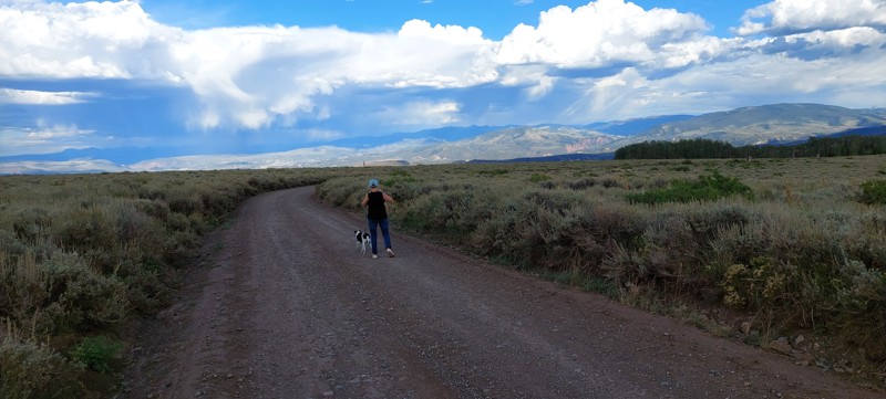 Coffee Pot Road Trail Review Photo