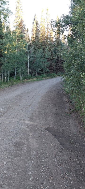 Coffee Pot Road Trail Review Photo