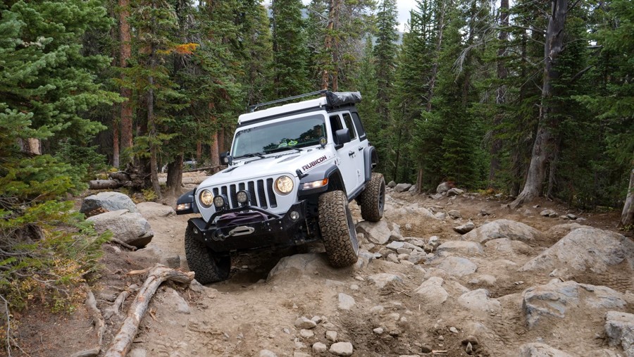 Trail Review: Coney Creek Road (aka Coney Flats) - John