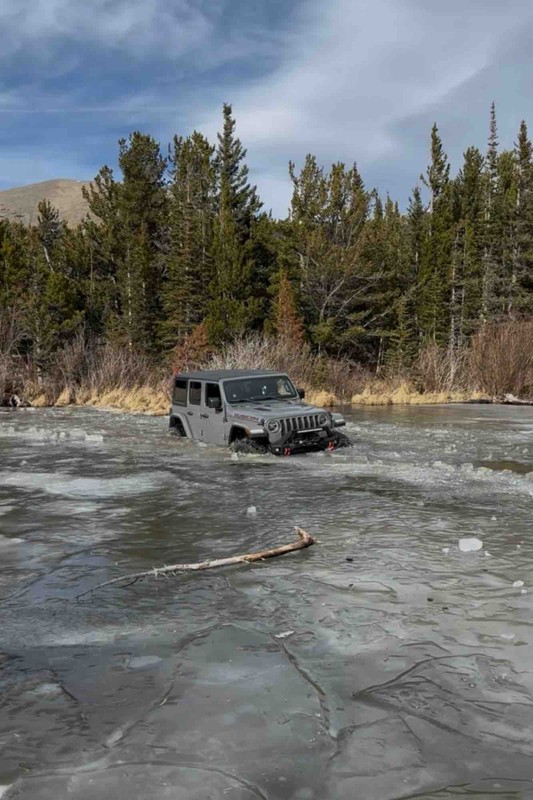 Coney Creek Road (aka Coney Flats) Trail Review Photo