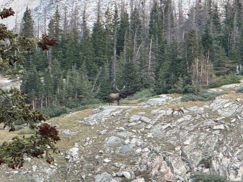 Browns Lake Trail Review Photo
