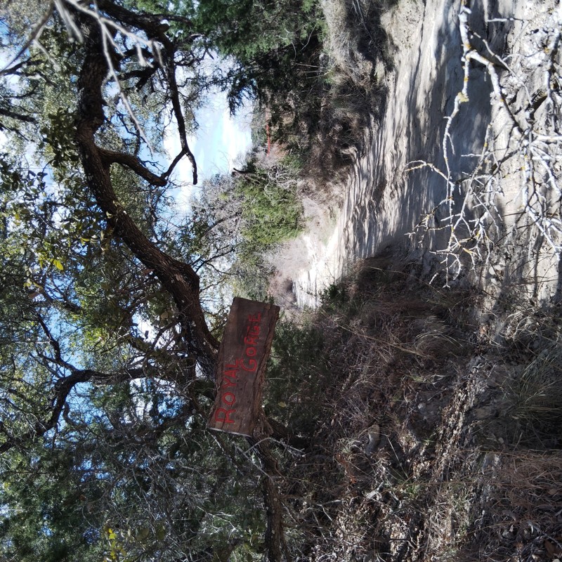 Hidden Falls Adventure Park: Outer Loop Trail Review Photo