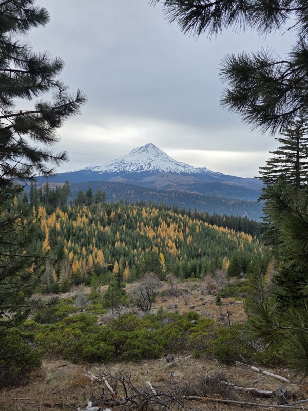 Bennett Pass Road Trail Review Photo