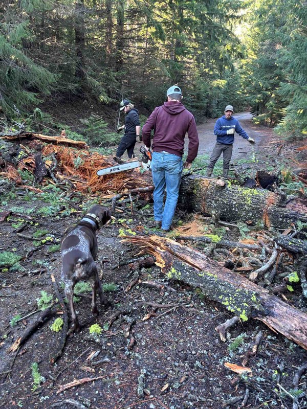 Bennett Pass Road Trail Review Photo
