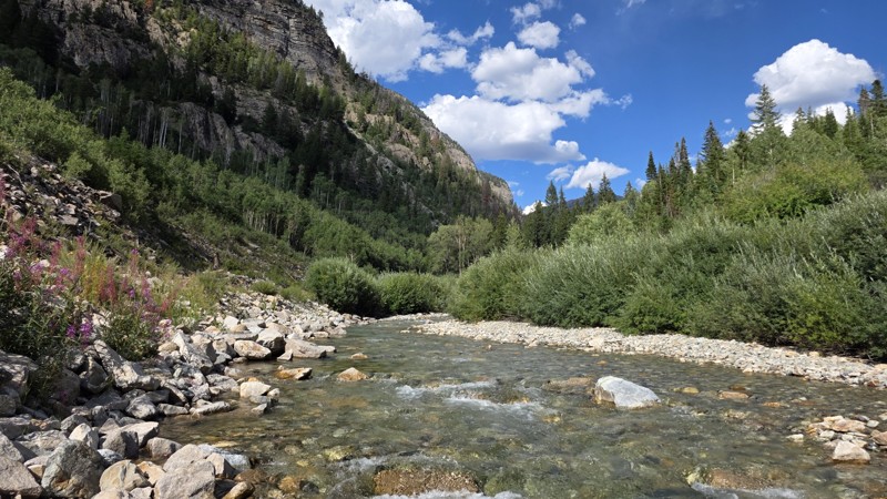 Crystal River Road Trail Review Photo