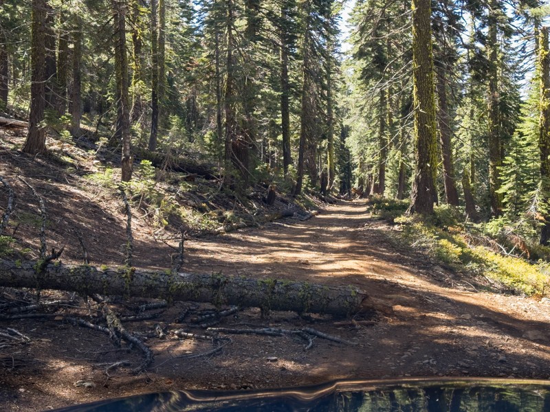 Sierra Buttes Lookout Trail Review Photo