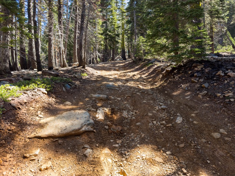 Sierra Buttes Lookout Trail Review Photo