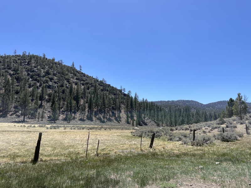 Jawbone Canyon Road Trail Review Photo