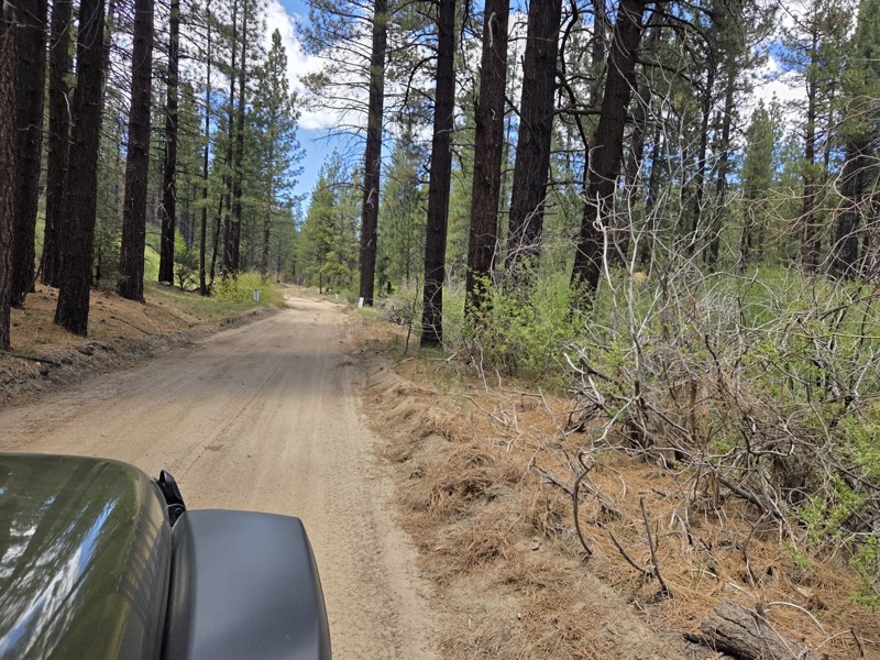 Jawbone Canyon Road Trail Review Photo