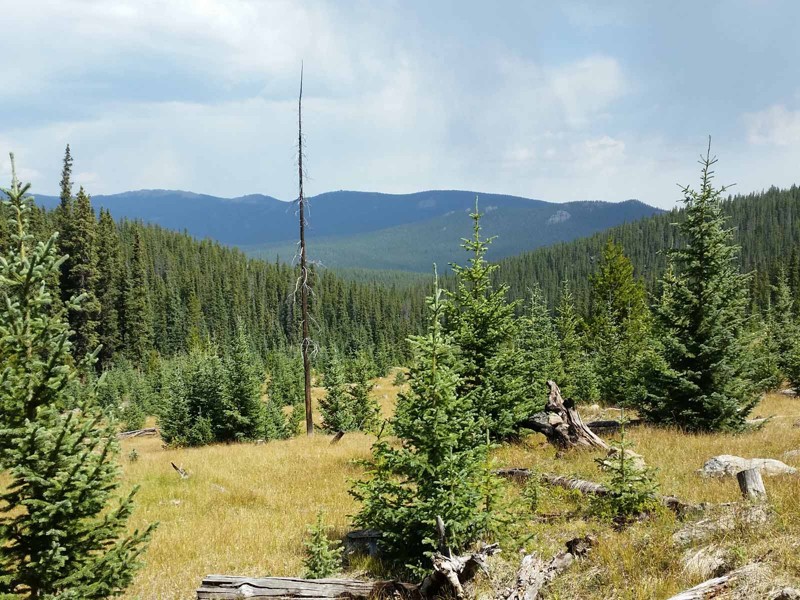 Colorado: Bonis Creek Hero Photo