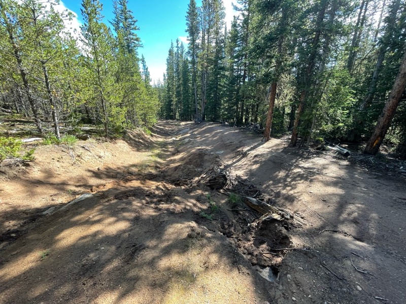 Bonis Creek Trail Review Photo