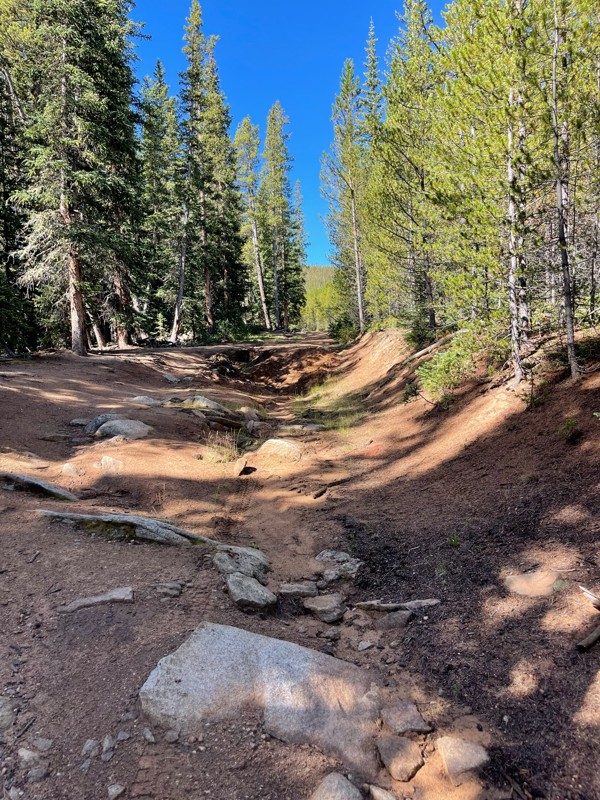 Bonis Creek Trail Review Photo