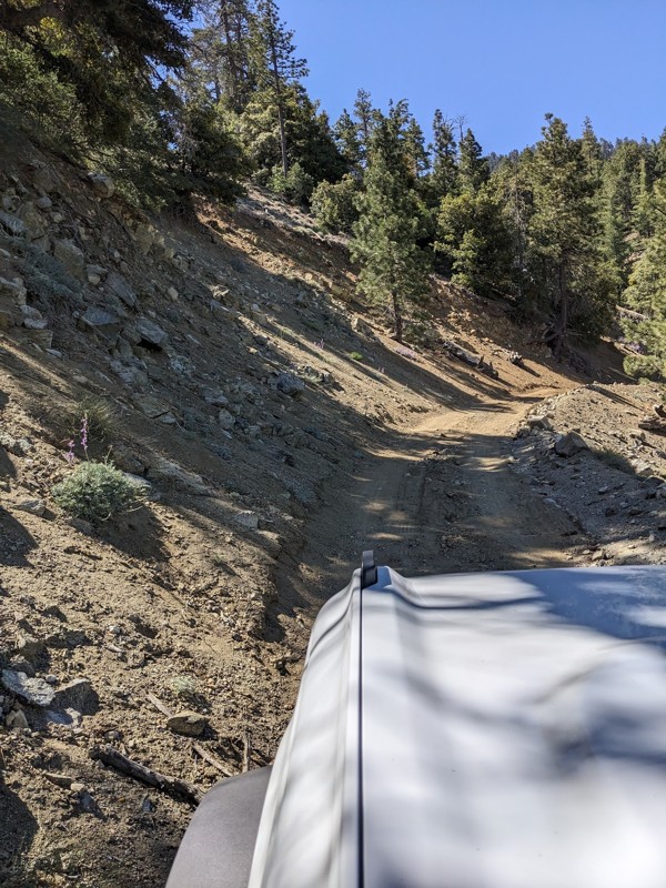 Fenner Saddle Road Trail Review Photo