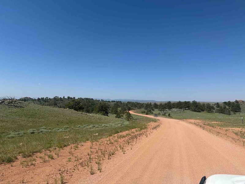 Pumpkin Vine Road Trail Review Photo