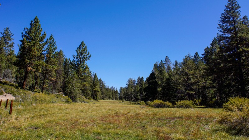 California: 2N93 Wildhorse Meadow Hero Photo