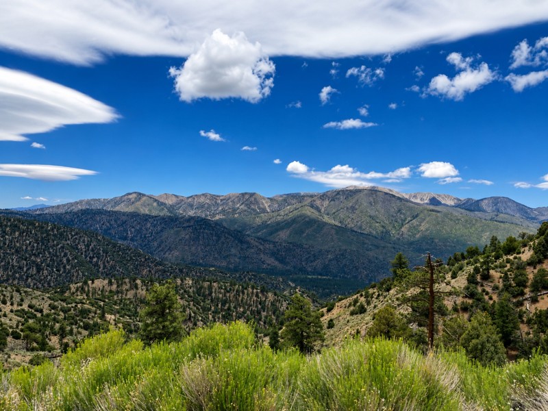 2N93 Wildhorse Meadow Trail Review Photo