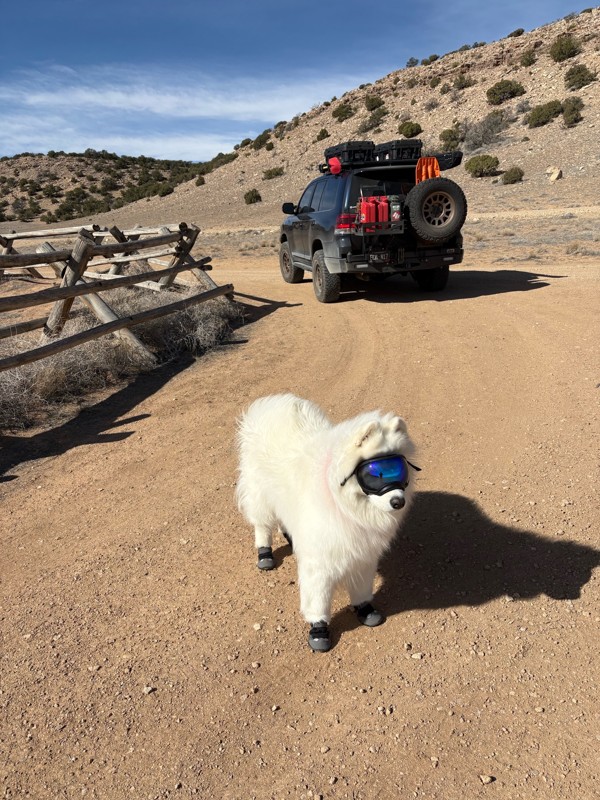 Buckhorn Draw Road Trail Review Photo