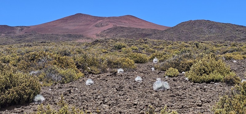 Kahinahina Road Trail Review Photo