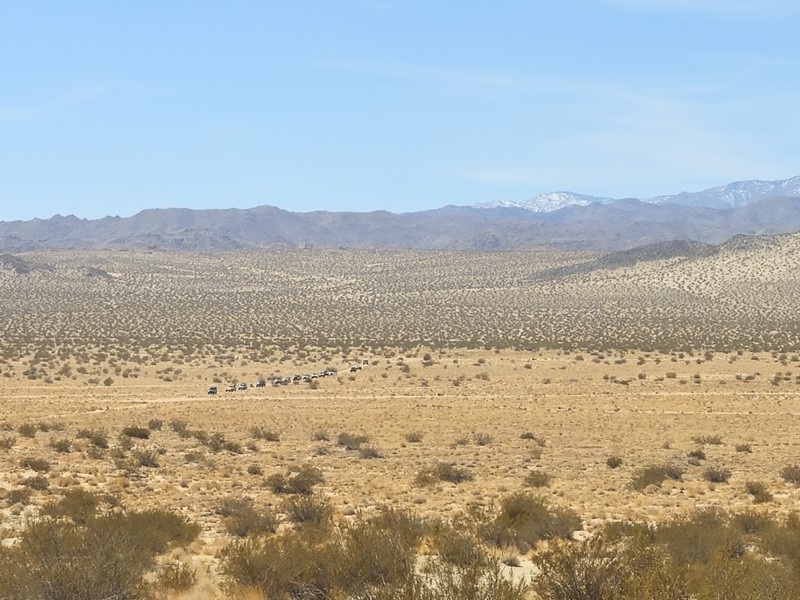 Morongo Basin Desert Run Road Trail Review Photo