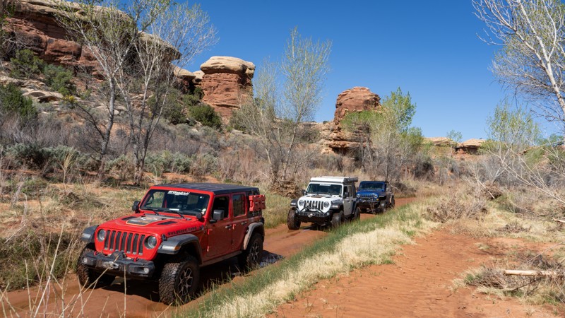 Utah: Salt Creek Canyon Hero Photo