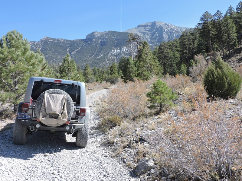Nevada: Wallace Canyon Road Hero Photo
