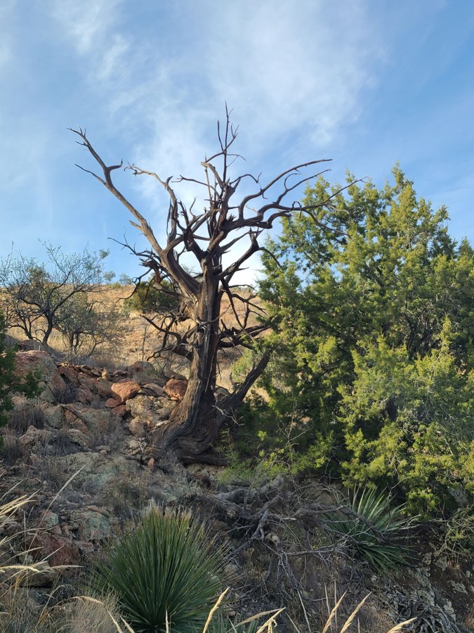 Bradberry Cabin Trail Review Photo
