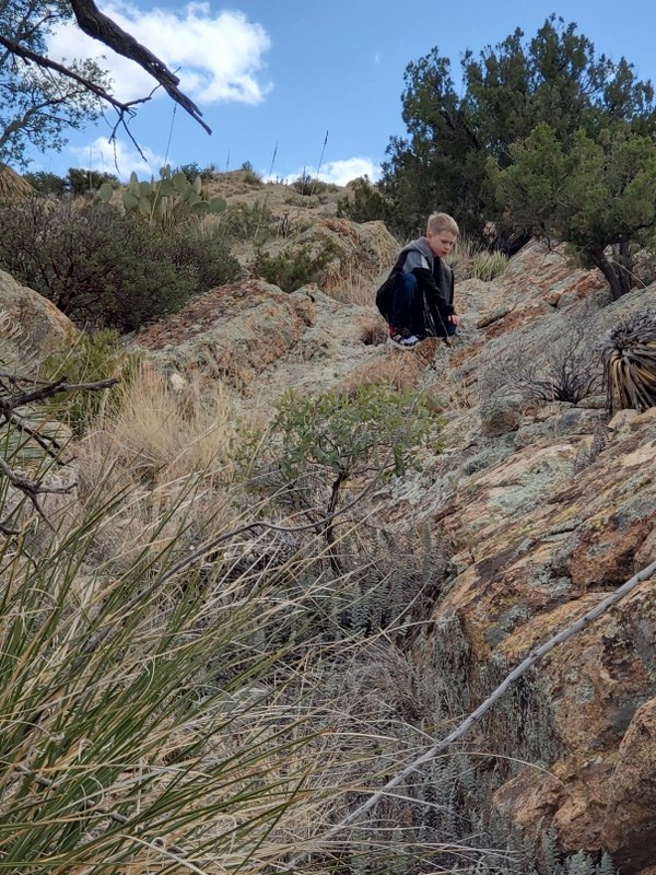 Bradberry Cabin Trail Review Photo
