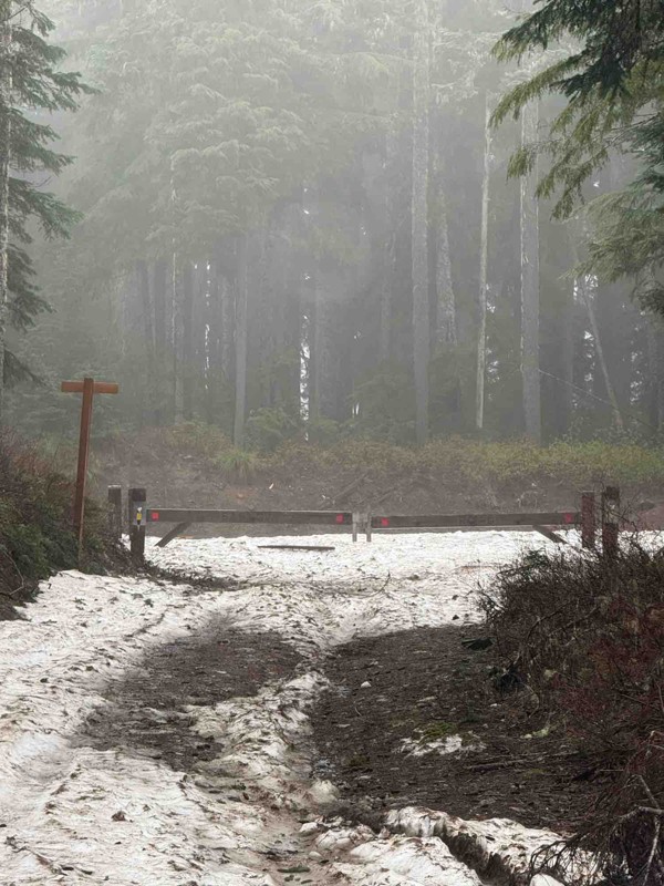 Barlow Trail Trail Review Photo