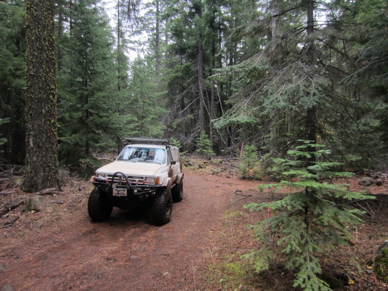 Barlow Trail - Waypoint 8: Go Right - Trail to Left goes to Campsites