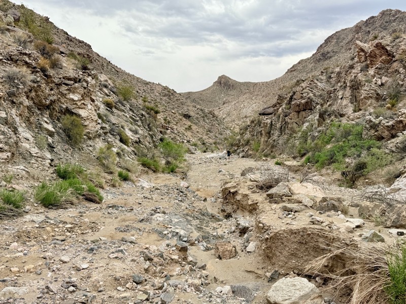 Devils Cove Road Trail Review Photo