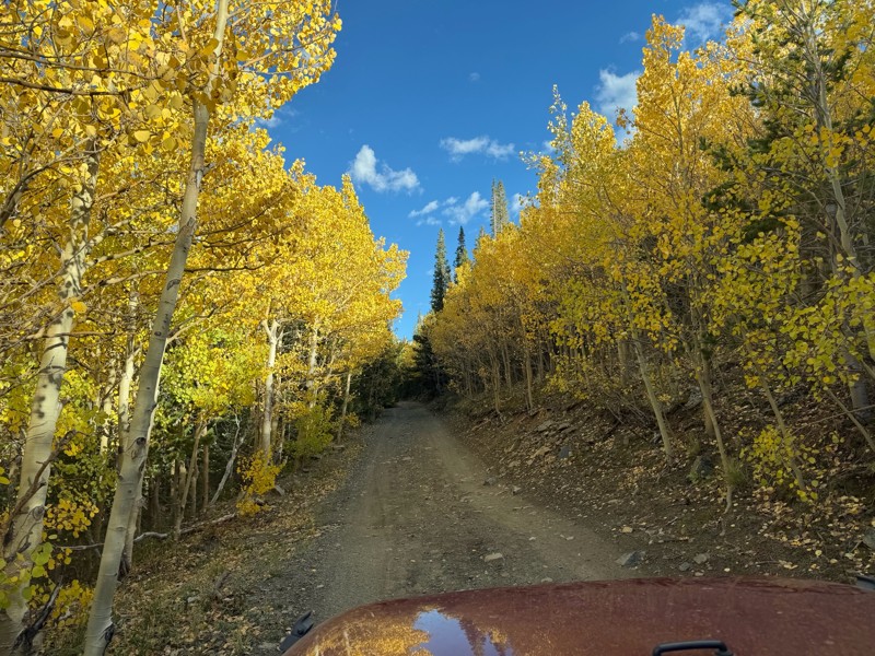 Caribou Creek (South) Trail Review Photo